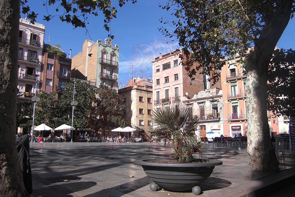 Gr cia Barcelona Solutions