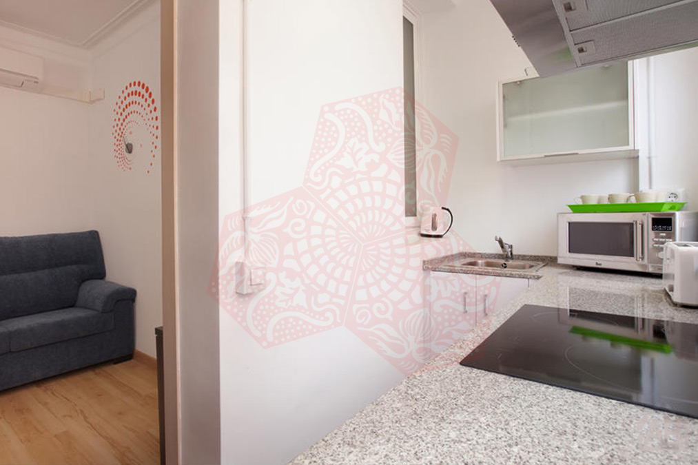 BCN APARTMENTS VILA I VILA